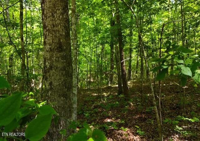 Homes for sale in Soddy Daisy, TN | Lot 37/38a T Crowe Cir, Soddy Daisy, TN 37379 | MLS# 1343322