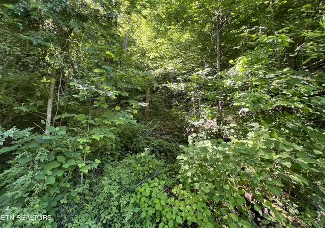Photo 3 of Land for sale at Apache Rd, Jamestown, TN 38556 | MLS# 1340498 | Listing updated on 2026-07-08