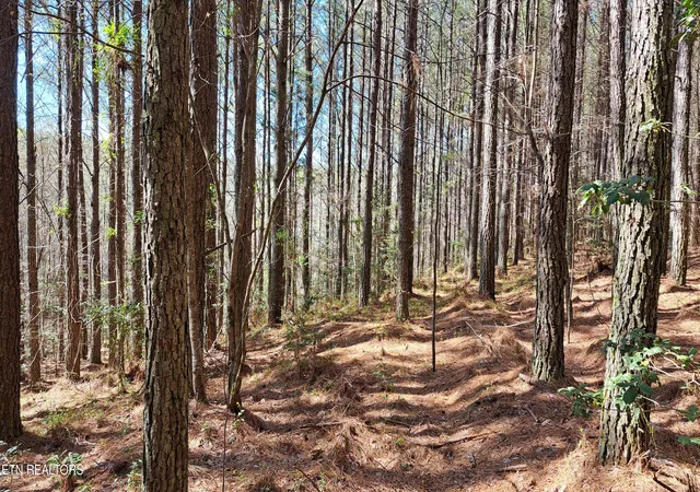 Photo 3 of Land for sale at Lot 23 Cornerstone Dr, Rockwood, TN 37854 | MLS# 1340515 | Listing updated on 2026-08-04