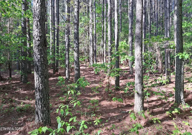Photo 3 of Land for sale at Lot 23 Cornerstone Dr, Rockwood, TN 37854 | MLS# 1340515 | Listing updated on 2026-08-04