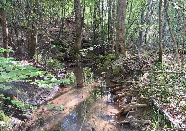 Photo 4 of Land for sale at Lot 23 Cornerstone Dr, Rockwood, TN 37854 | MLS# 1340515 | Listing updated on 2026-08-04