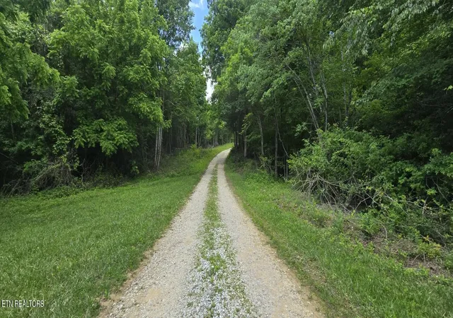Homes for sale in Oneida, TN | 0 Sheep Ranch Rd, Oneida, TN 37841 | MLS# 1342262