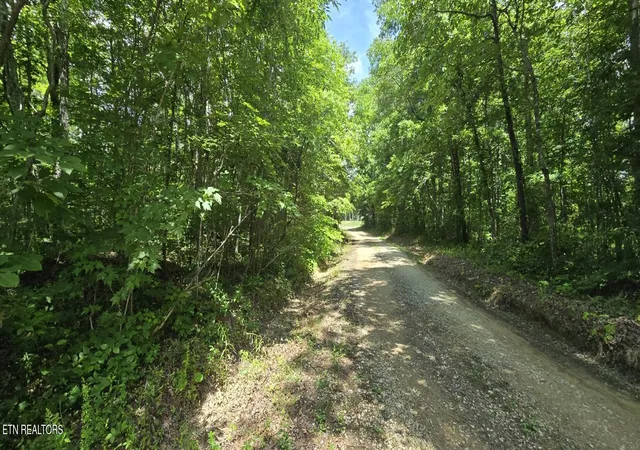 Homes for sale in Oneida, TN | 0 Sheep Ranch Rd, Oneida, TN 37841 | MLS# 1342262