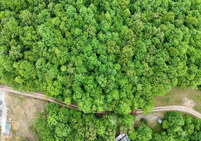 Homes for sale in Oneida, TN | 0 Sheep Ranch Rd, Oneida, TN 37841 | MLS# 1342262