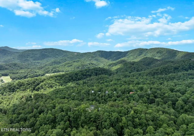 59th image of 236 Tolliver Tr, Townsend, TN 37882 | MLS# 1342955