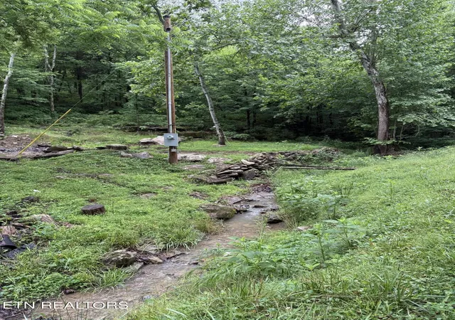 Homes for sale in Whitleyville, TN | 940 Riley Creek Rd, Whitleyville, TN 38588 | MLS# 1340626