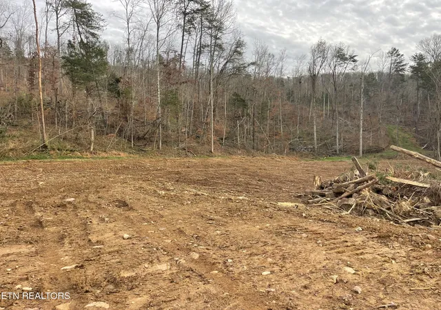 Photo 3 of Land for sale at 170 Acres Robbies Ln, Decatur, TN 37322 | MLS# 1340625 | Listing updated on 2026-06-29