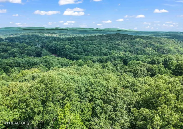 14th image of 1955 Price Rd, Lenoir City, TN 37771 | MLS# 1345356
