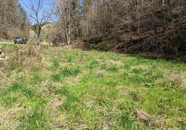 Photo 3 of Land for sale at 760 Black Branch Rd, Del Rio, TN 37727 | MLS# 1340751 | Listing updated on 2026-07-23