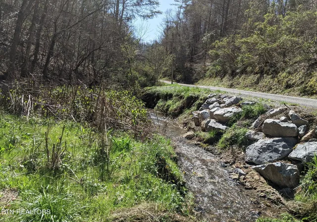 Photo 3 of Land for sale at 760 Black Branch Rd, Del Rio, TN 37727 | MLS# 1340751 | Listing updated on 2026-07-23