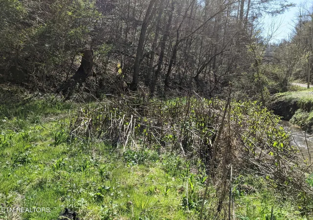 Photo 4 of Land for sale at 760 Black Branch Rd, Del Rio, TN 37727 | MLS# 1340751 | Listing updated on 2026-07-23
