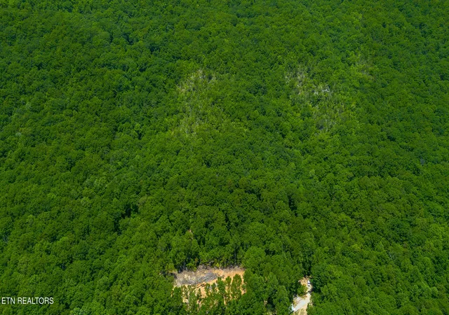 5th image of 741 Bazel Rd, Harriman, TN 37748 | MLS# 1341098