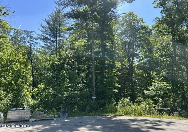 1st image of 325 Beckett Ridge Rd, Townsend, TN 37882 | MLS# 1341438