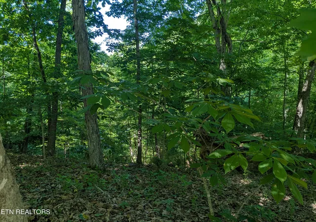 4th image of 306 Hickory Knoll Cir, Whitesburg, TN 37891 | MLS# 1341222