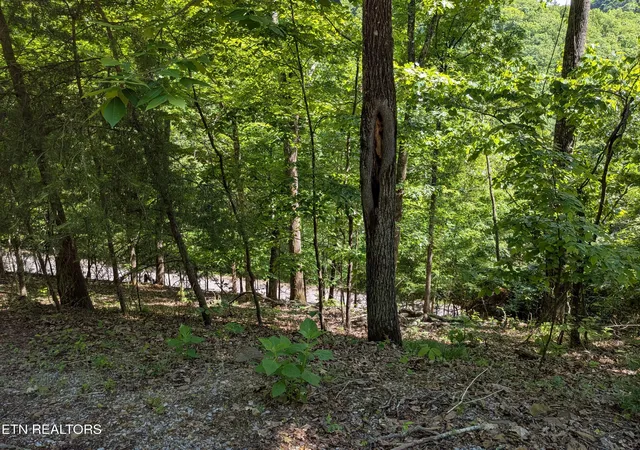 3rd image of 306 Hickory Knoll Cir, Whitesburg, TN 37891 | MLS# 1341222