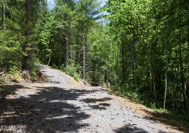 4th image of Bryant Hollow Lot 1 Wy #066 032.00, Sevierville, TN 37876 | MLS# 1341305