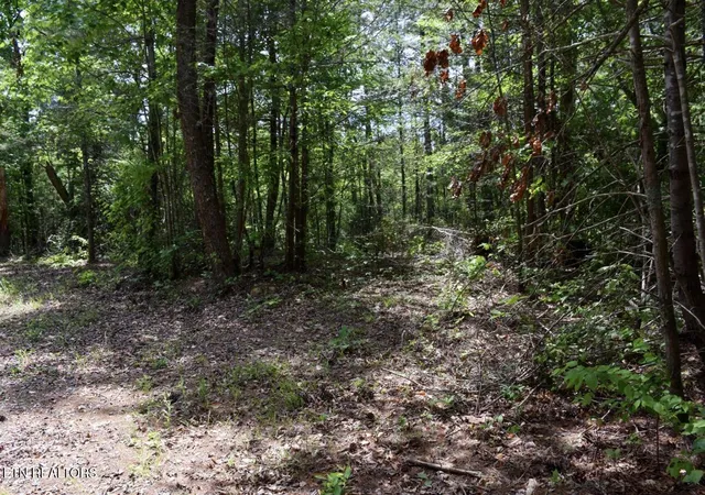 5th image of Bryant Hollow Lot 1 Wy #066 032.00, Sevierville, TN 37876 | MLS# 1341305