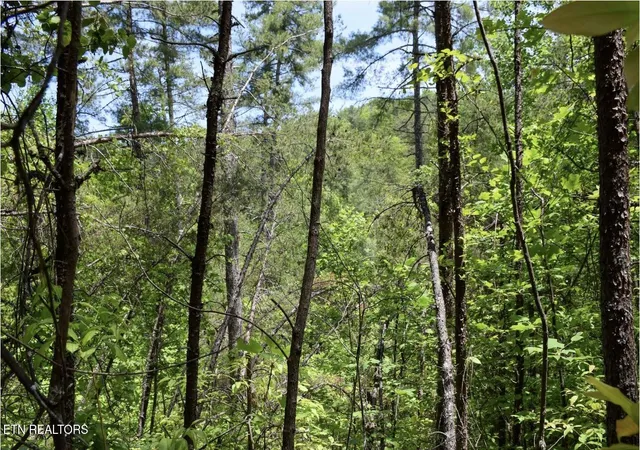 3rd image of Bryant Hollow Lot 2 Wy, Sevierville, TN 37876 | MLS# 1341308