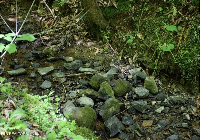 5th image of 1840 Bryant Hollow Lot 5 Wy, Sevierville, TN 37876 | MLS# 1341306
