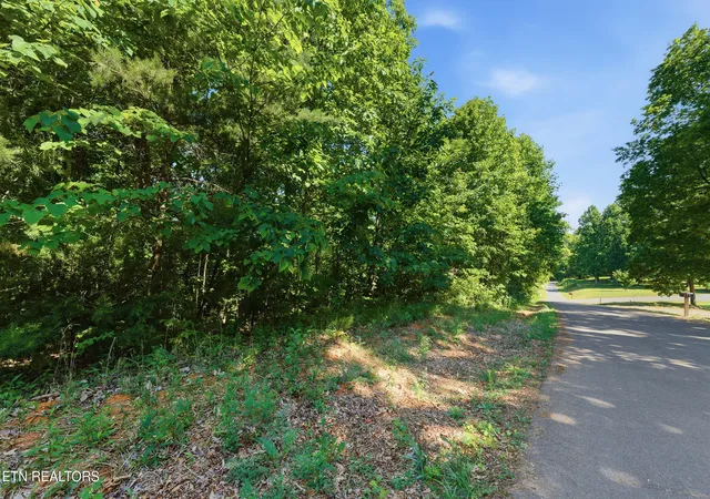 3rd image of Lots 32&33 Stevia Wy, Cosby, TN 37722 | MLS# 1342327