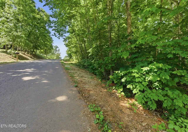 4th image of Lots 32&33 Stevia Wy, Cosby, TN 37722 | MLS# 1342327