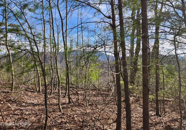 Photo 3 of Land for sale at Lot 46 Feld Wynde Close Way, Sevierville, TN 37862 | MLS# 1341381 | Listing updated on 2026-05-19