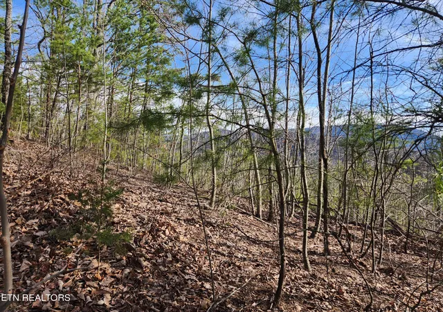 Photo 3 of Land for sale at Lot 46 Feld Wynde Close Way, Sevierville, TN 37862 | MLS# 1341381 | Listing updated on 2026-05-19