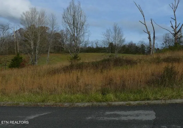Photo 2 of Land for sale at 141 Henley St, Tazewell, TN 37879 | MLS# 1341315 | Listing updated on 2026-05-18