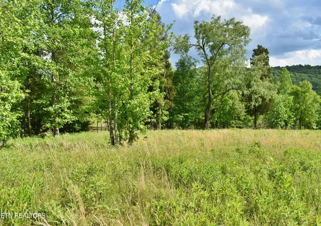 5th image of Lot 56 Blue Heron Bluff Rd, Harriman, TN 37748 | MLS# 1341349