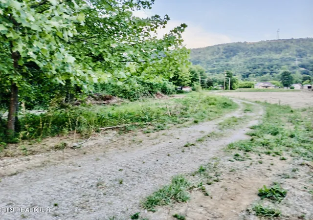 Photo 3 of Land for sale at 3134 Highway 297, Newcomb, TN 37819 | MLS# 1341477 | Listing updated on 2026-09-14