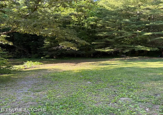 5th image of 992 Chicken Hollow Rd, Newport, TN 37821 | MLS# 1341631