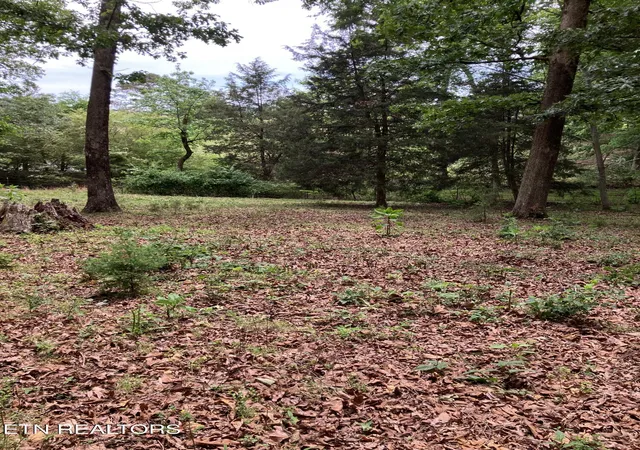 Homes for sale in Philadelphia, TN | 26450 Stockton Valley Rd, Philadelphia, TN 37846 | MLS# 1341595