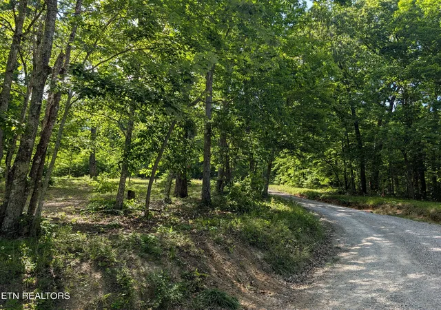 Homes for sale in Spring City, TN | Lot 94/95 Red Oak Ln, Spring City, TN 37381 | MLS# 1341706