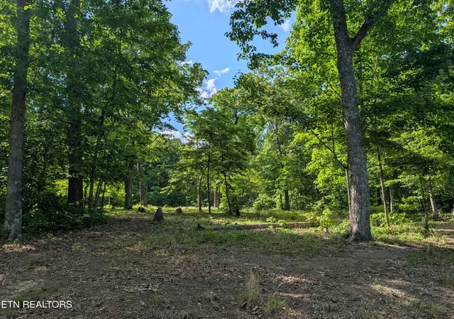 Homes for sale in Spring City, TN | Lot 94/95 Red Oak Ln, Spring City, TN 37381 | MLS# 1341706