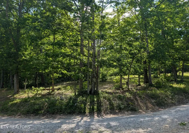 Homes for sale in Spring City, TN | Lot 94/95 Red Oak Ln, Spring City, TN 37381 | MLS# 1341706