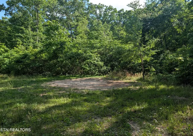 Homes for sale in Spring City, TN | Lot 94/95 Red Oak Ln, Spring City, TN 37381 | MLS# 1341706