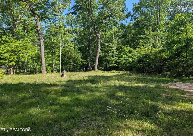 Homes for sale in Spring City, TN | Lot 94/95 Red Oak Ln, Spring City, TN 37381 | MLS# 1341706