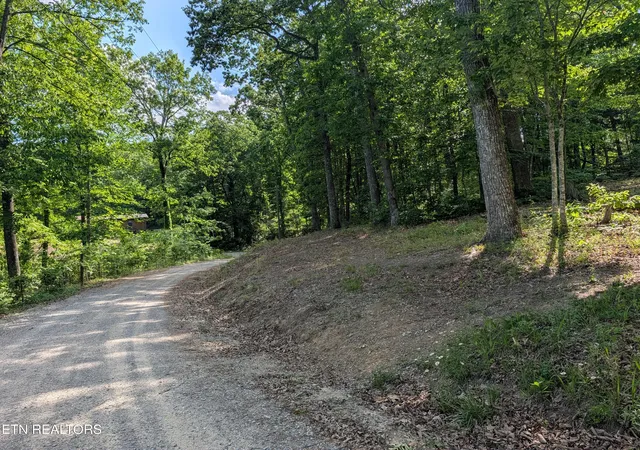 Homes for sale in Spring City, TN | Lot 94/95 Red Oak Ln, Spring City, TN 37381 | MLS# 1341706