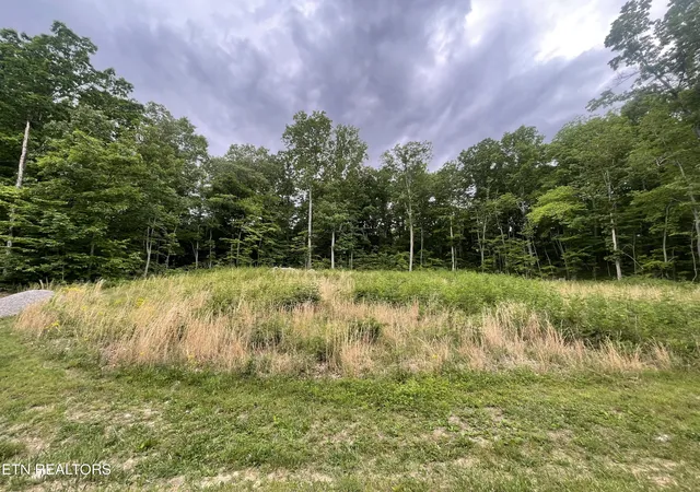 Photo 1 of Sale Pending at Willow Ridge Dr, Crossville, TN 38571 | MLS# 1341618 | Listing updated on 2026-09-08