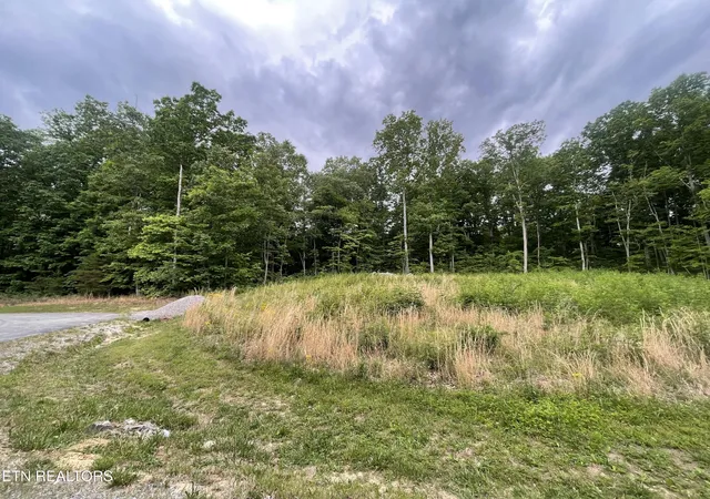Photo 3 of Sale Pending at Willow Ridge Dr, Crossville, TN 38571 | MLS# 1341618 | Listing updated on 2026-09-08