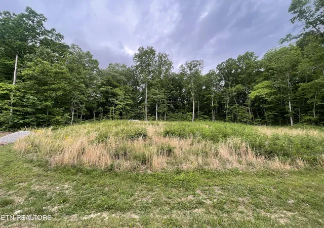 Photo 3 of Sale Pending at Willow Ridge Dr, Crossville, TN 38571 | MLS# 1341618 | Listing updated on 2026-09-08