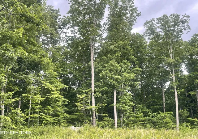 Photo 4 of Sale Pending at Willow Ridge Dr, Crossville, TN 38571 | MLS# 1341618 | Listing updated on 2026-09-08