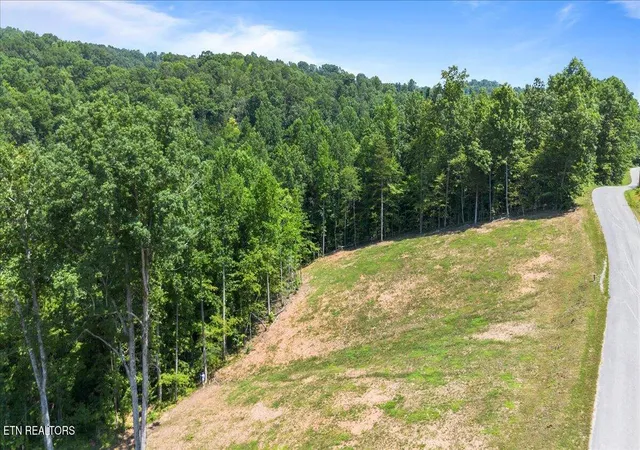3rd image of 2321 Cove Pointe Rd, La Follette, TN 37766 | MLS# 1344863