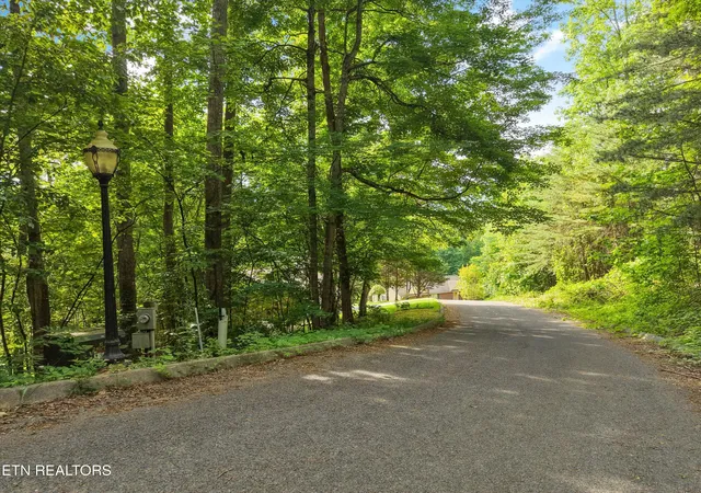 3rd image of Country Mtn Rd #Lot 11, Cosby, TN 37722 | MLS# 1341692