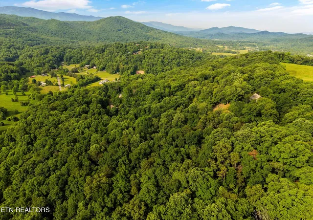 4th image of Country Mtn Rd #Lot 11, Cosby, TN 37722 | MLS# 1341692