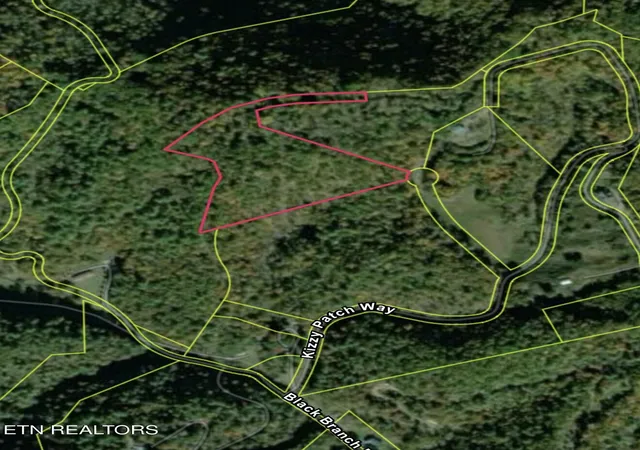 Photo 2 of Land for sale at 000 Kizzy Patch Way, Del Rio, TN 37727 | MLS# 1341749 | Listing updated on 2026-08-25