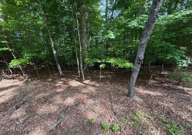 Photo 3 of Land for sale at Beechwood Dr #003, Dandridge, TN 37725 | MLS# 1341718 | Listing updated on 2026-09-29
