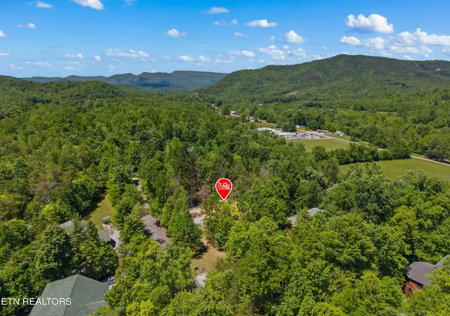 13th image of 204 Amet Wy, Cosby, TN 37722 | MLS# 1342279