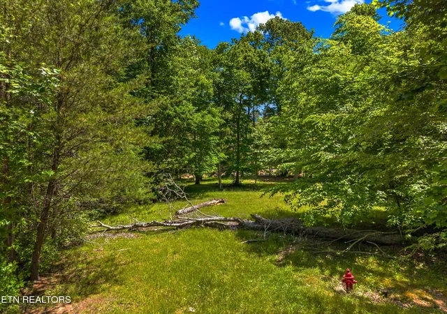 Photo 4 of Land for sale at 204 Amet Way, Cosby, TN 37722 | MLS# 1342279 | Listing updated on 2026-05-26