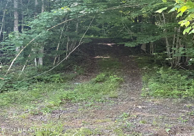 Photo 2 of Land for sale at 549 Defender Rd, La Follette, TN 37766 | MLS# 1341733 | Listing updated on 2026-08-21
